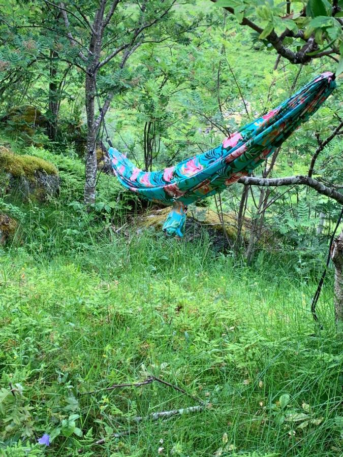 Glamping Lofoten Hotel Kongsjorda Eksteriør billede